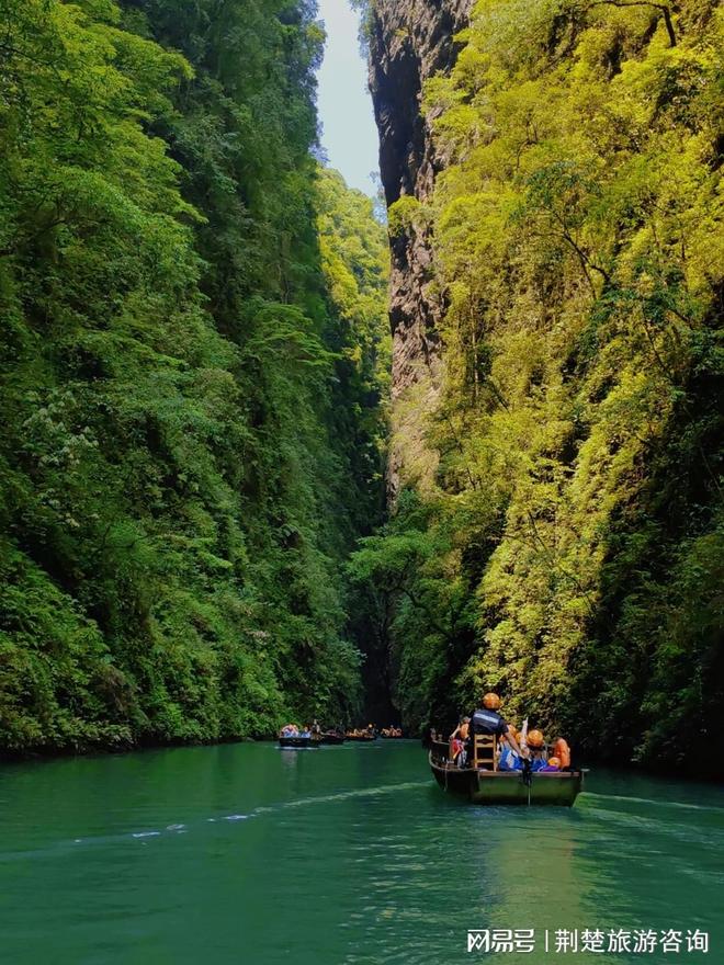 ！信誉高 + 实力强靠谱推荐不踩坑！尊龙凯时网站2025 武汉旅行社十佳(图1)