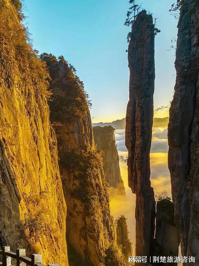 ！信誉高 + 实力强靠谱推荐不踩坑！尊龙凯时网站2025 武汉旅行社十佳(图3)